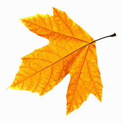 Similar image 1573644