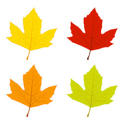 Similar image 1573690