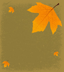 Similar image 1573695