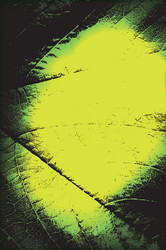 Similar image 1573697