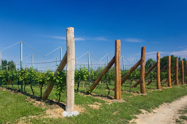 Similar image 1573709