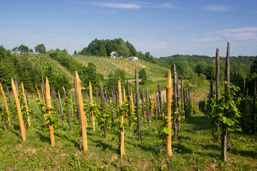 Similar image 1573710