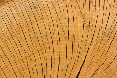 Similar image 1573711