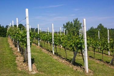 Similar image 1573712