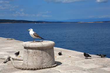 Similar image 1573716