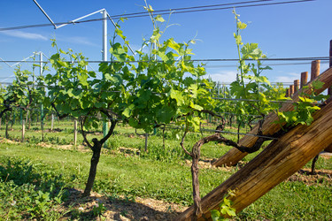 Similar image 1573723