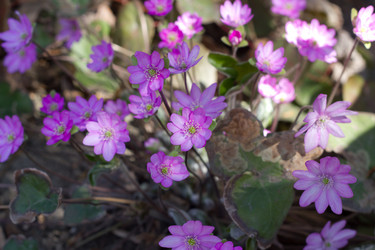 Similar image 1573731