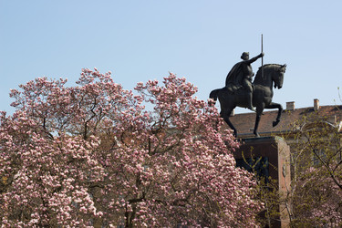 Similar image 1573735