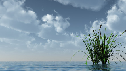 Similar image 1573998