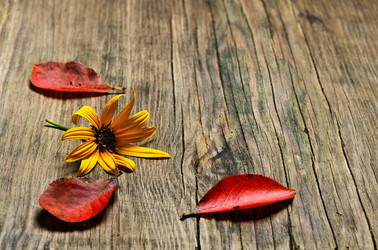 Similar image 1574112