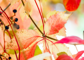 Similar image 1574147