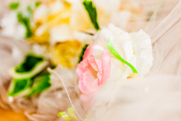 Similar image 1574149