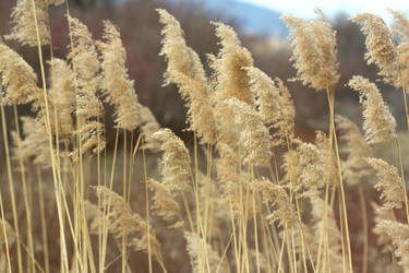 Similar image 1574342