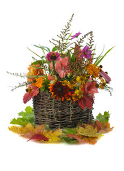 Similar image 1574482