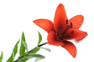 Similar image 1574494