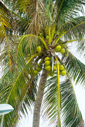 Similar image 1574499