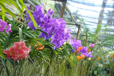 Similar image 1574500