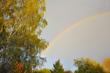 Similar image 1574503