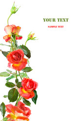 Similar image 1574581