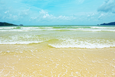 Similar image 1574593