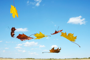 Similar image 1574599