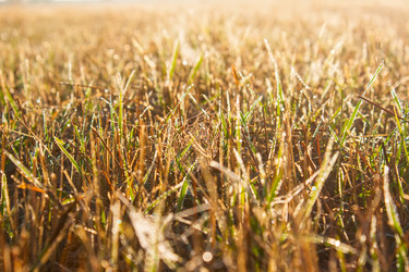 Similar image 1574673