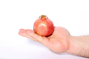 Similar image 1574706