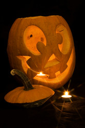 Similar image 1574709