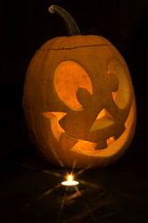 Similar image 1574710