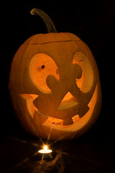 Similar image 1574711