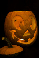 Similar image 1574712