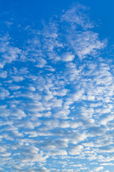 Similar image 1574722