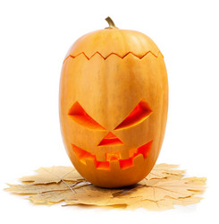 Similar image 1574737