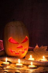 Similar image 1574738