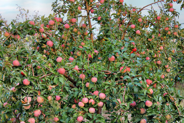 Similar image 1574745