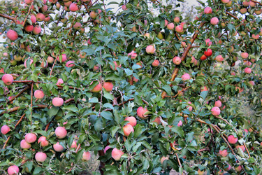 Similar image 1574746