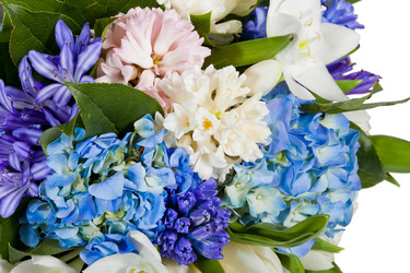 Similar image 1574754