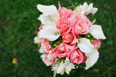 Similar image 1574761