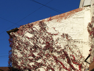 Similar image 1574772