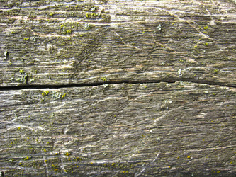 Similar image 1574778