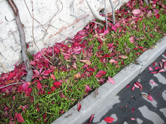 Similar image 1574785