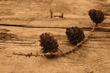 Similar image 1574796