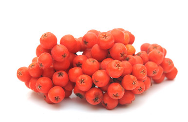 Similar image 1574799