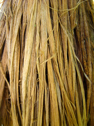 Similar image 1574819