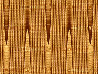 Similar image 1574823