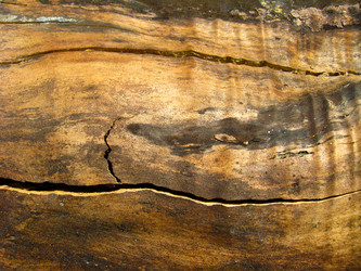 Similar image 1574824