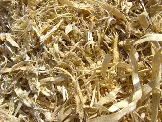 Similar image 1574830