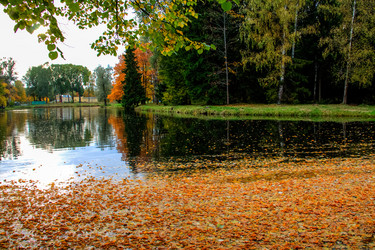 Similar image 1574846