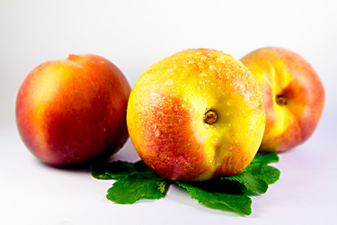 Similar image 1574848