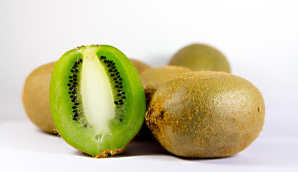 Similar image 1574850